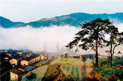 解惑蜗牛,鳄鱼冬眠被冻住会死吗?蜗牛问答平台